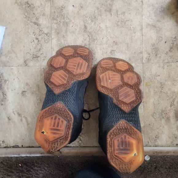 Lebrons - Picture 4 of 5